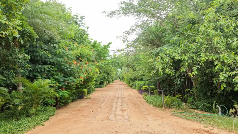 Aerial view of Woods Shamshabad
