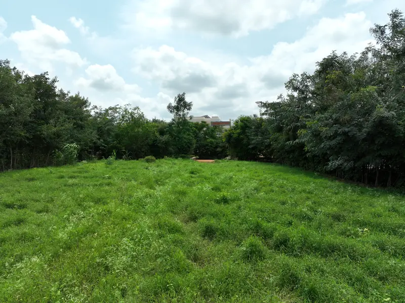 Aerial view of Woods Shamshabad