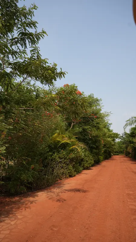 Site photograph of Woods Shamshabad