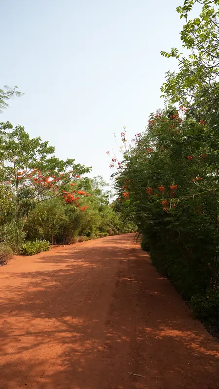 Site photograph of Woods Shamshabad