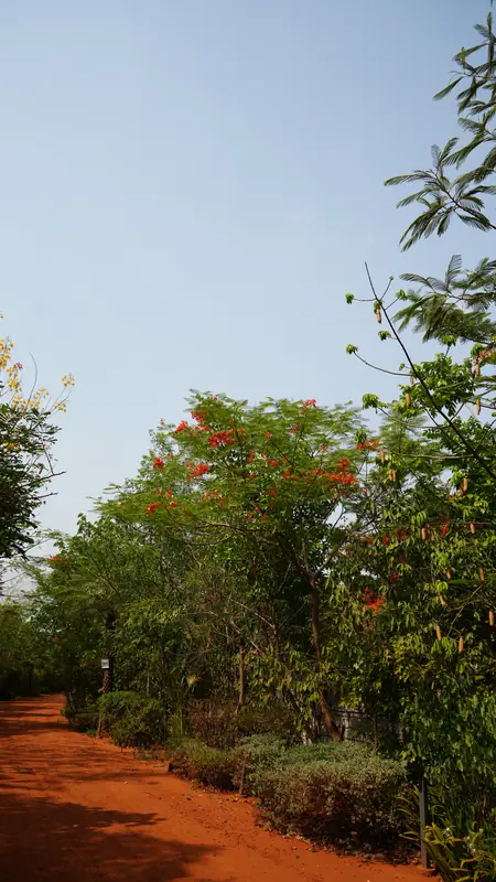 Site photograph of Woods Shamshabad