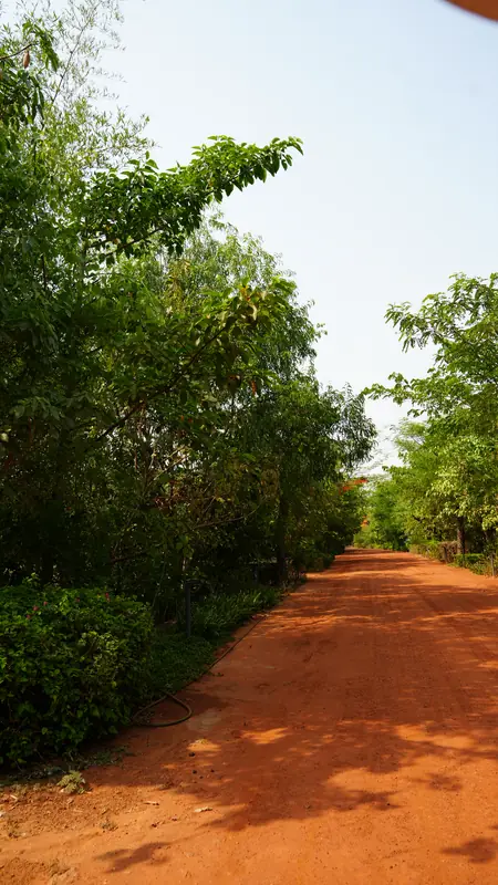 Site photograph of Woods Shamshabad