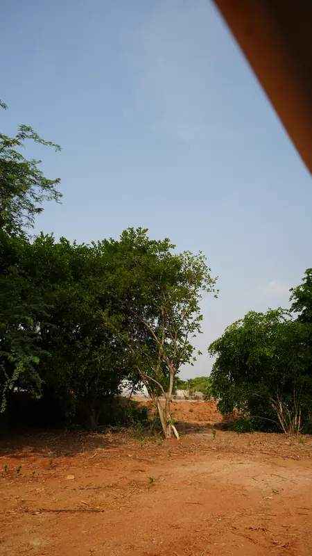 Site photograph of Woods Shamshabad