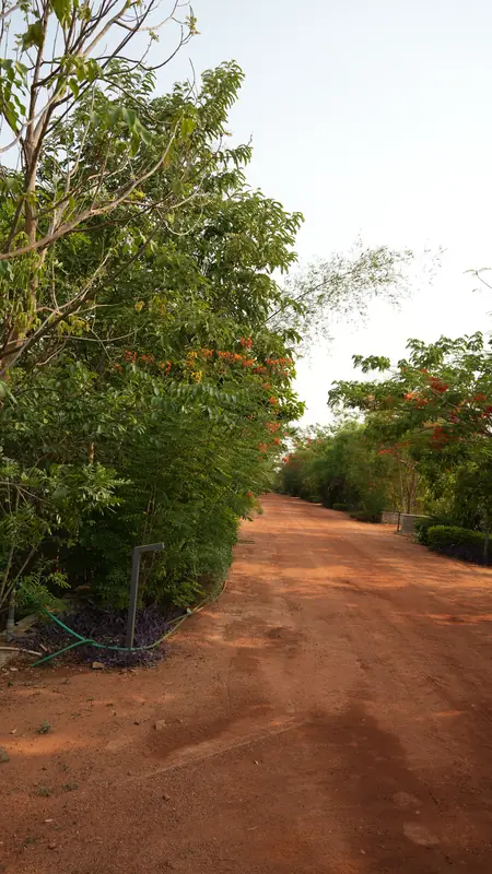 Site photograph of Woods Shamshabad