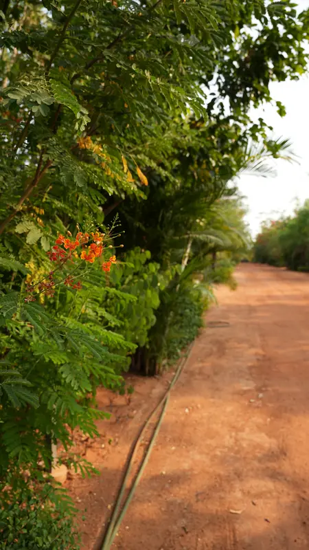 Site photograph of Woods Shamshabad