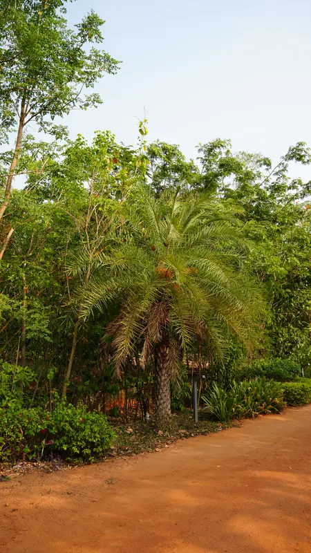 Site photograph of Woods Shamshabad