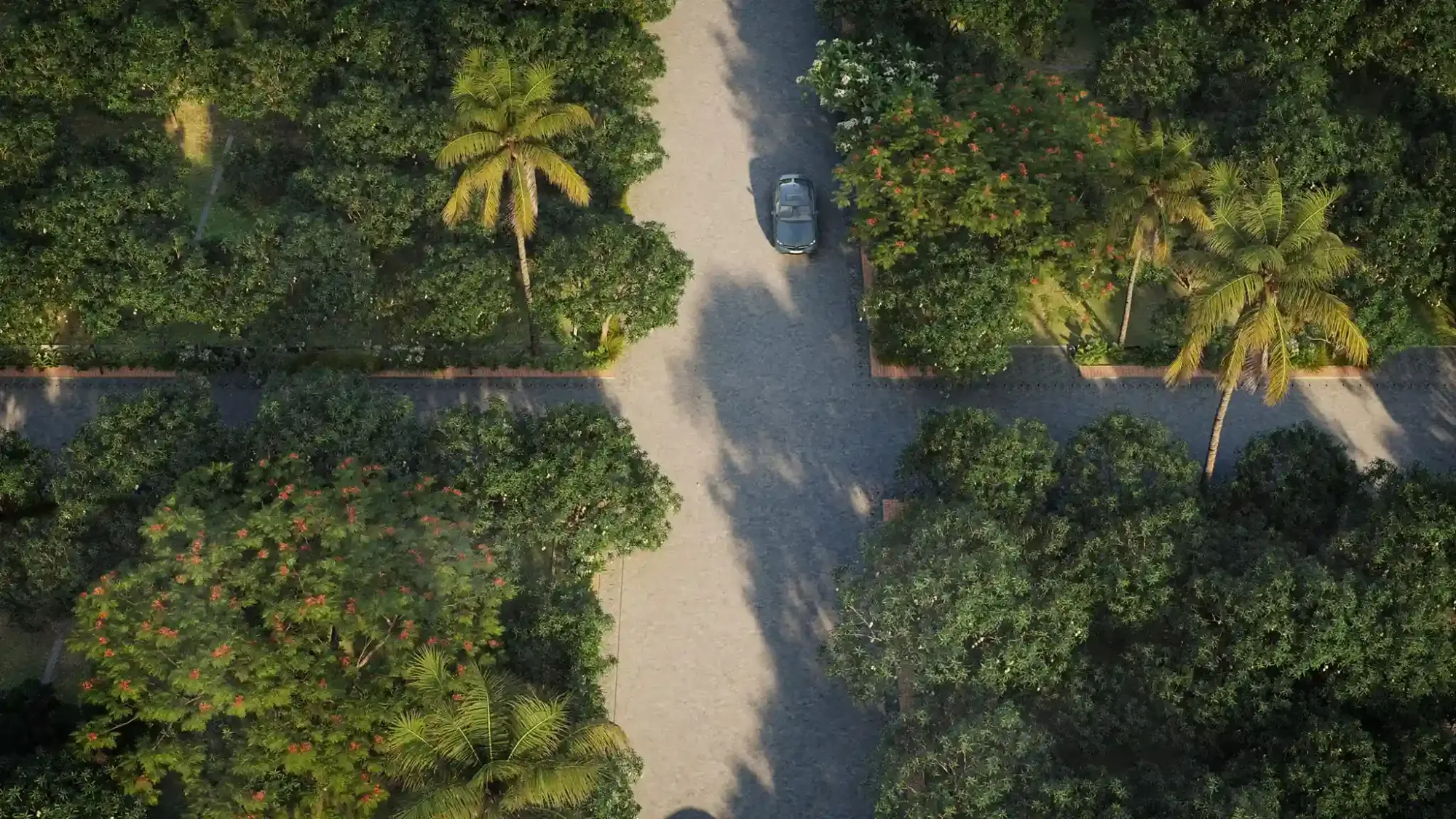 Tree-lined avenue rendering