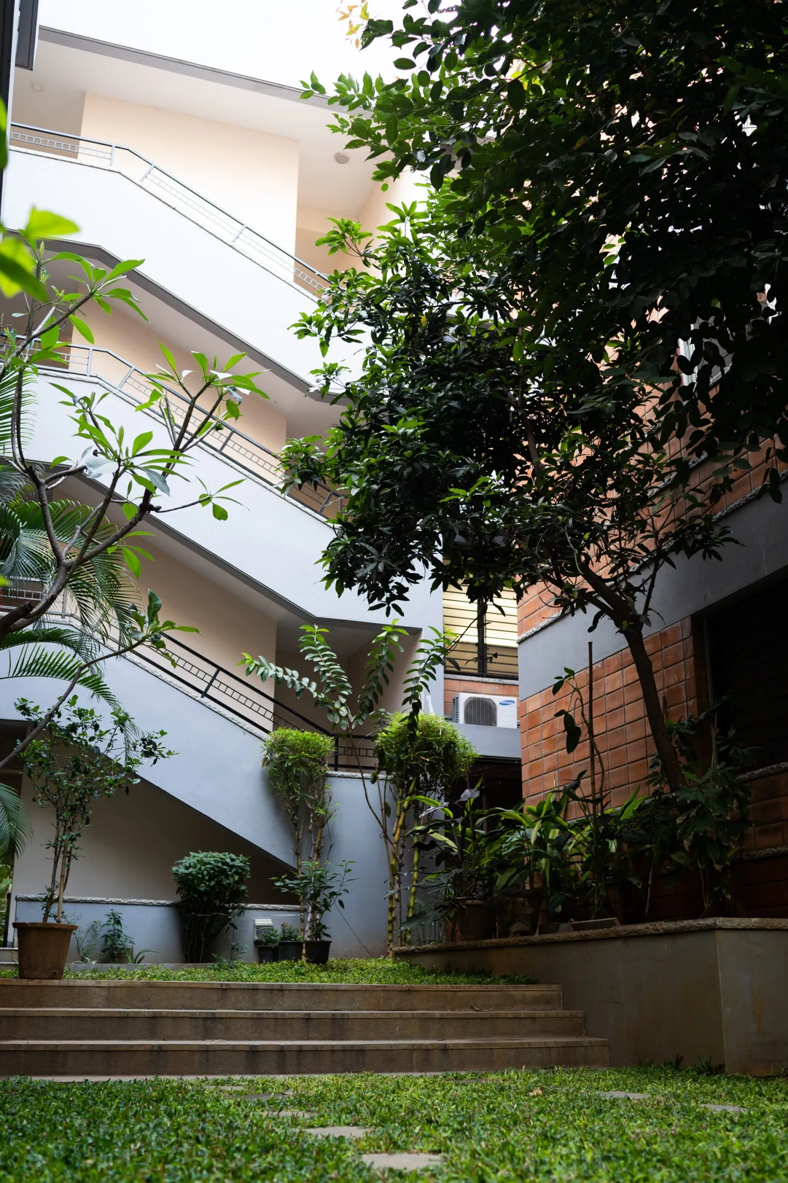 Woods @ Journalist Colony, view 1