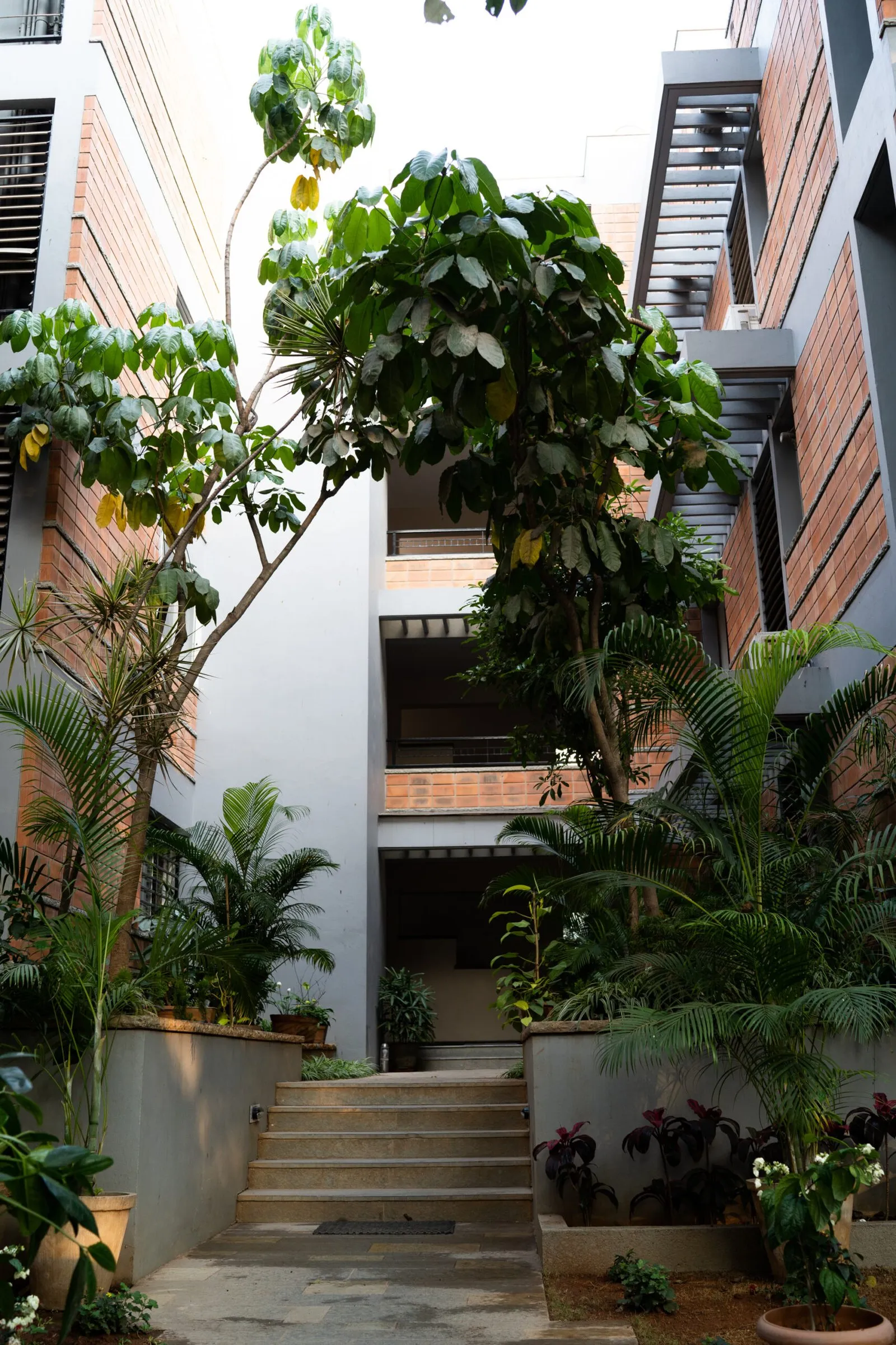 Woods @ Journalist Colony, view 2