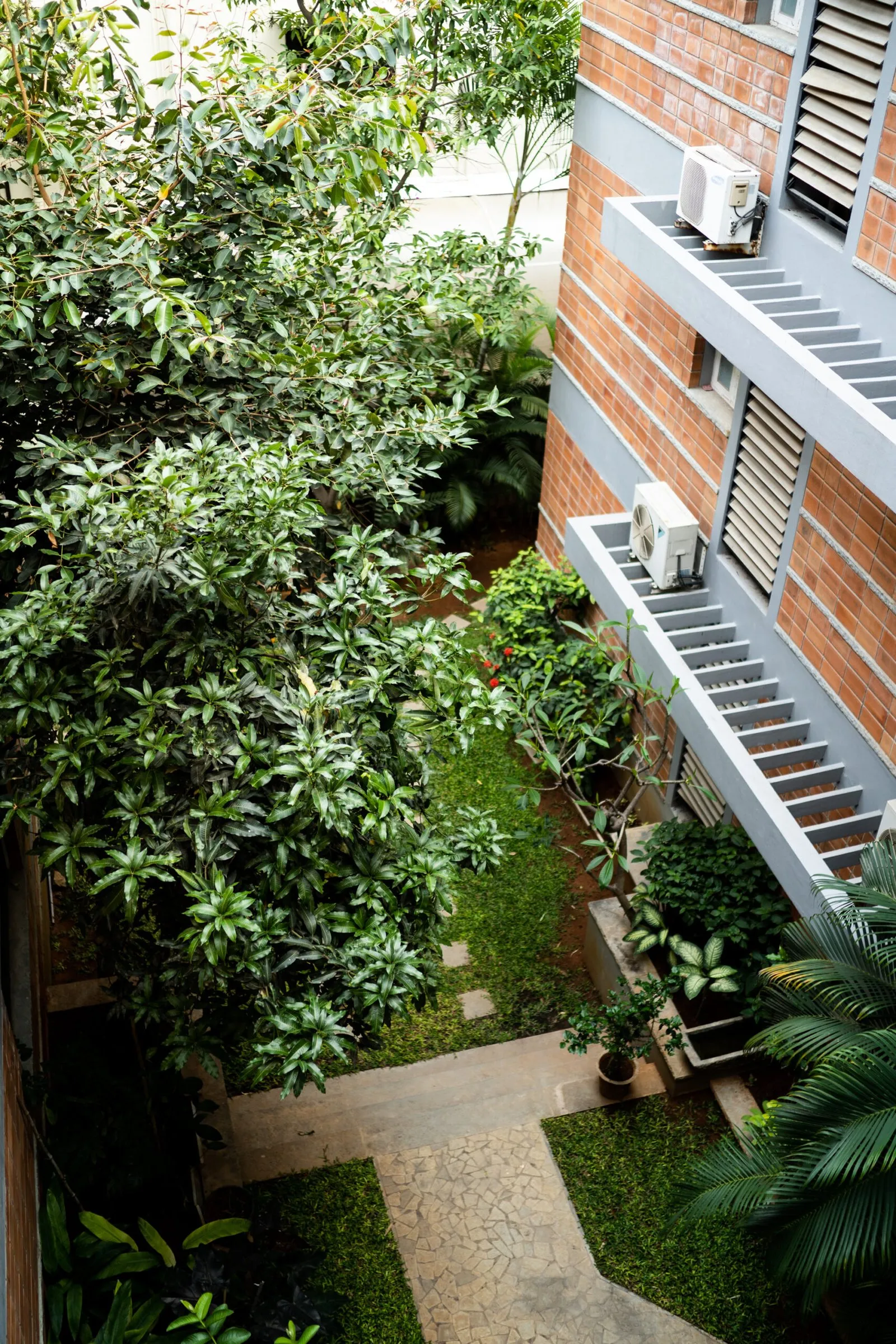 Woods @ Journalist Colony, view 3