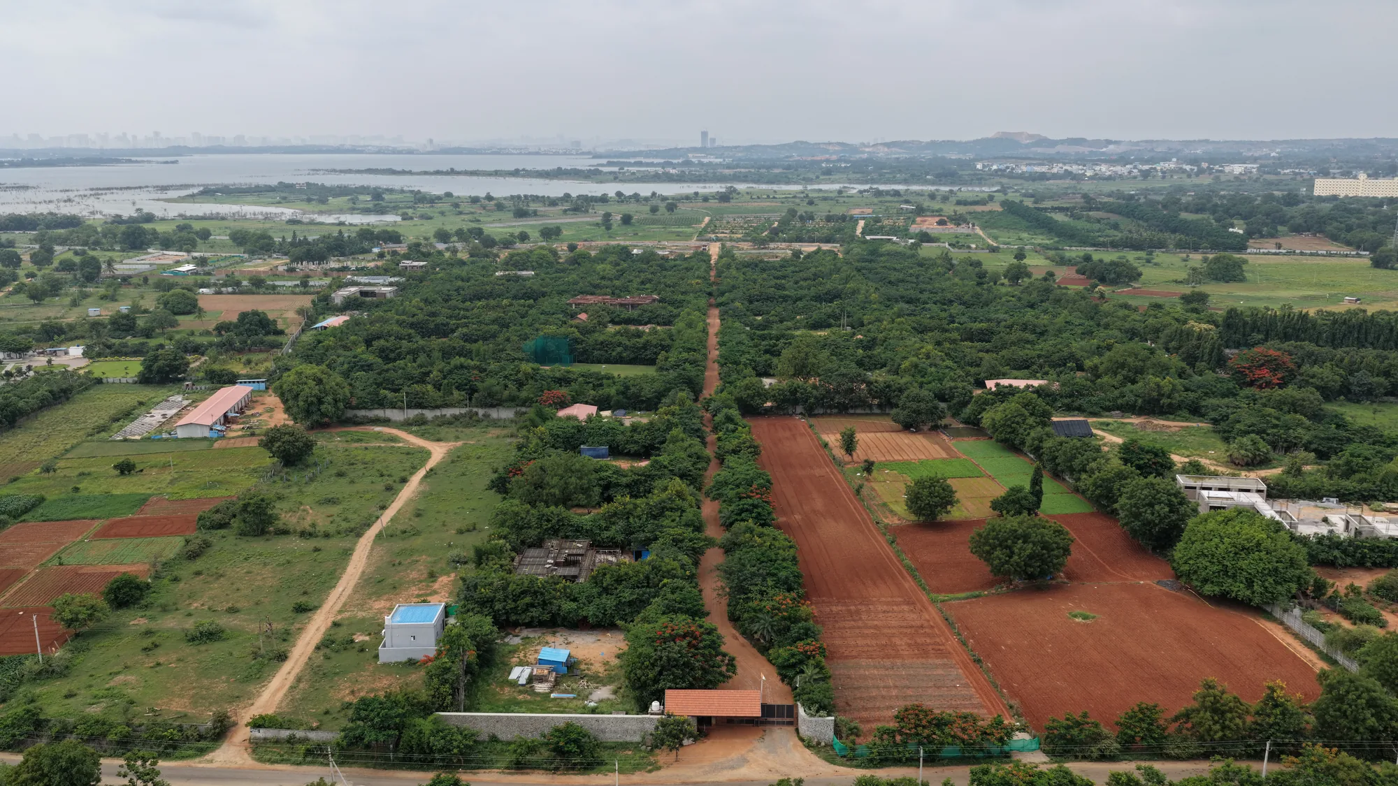 Aerial view of tree-lined avenues and plots at Woods Shamshabad, Hyderabad
