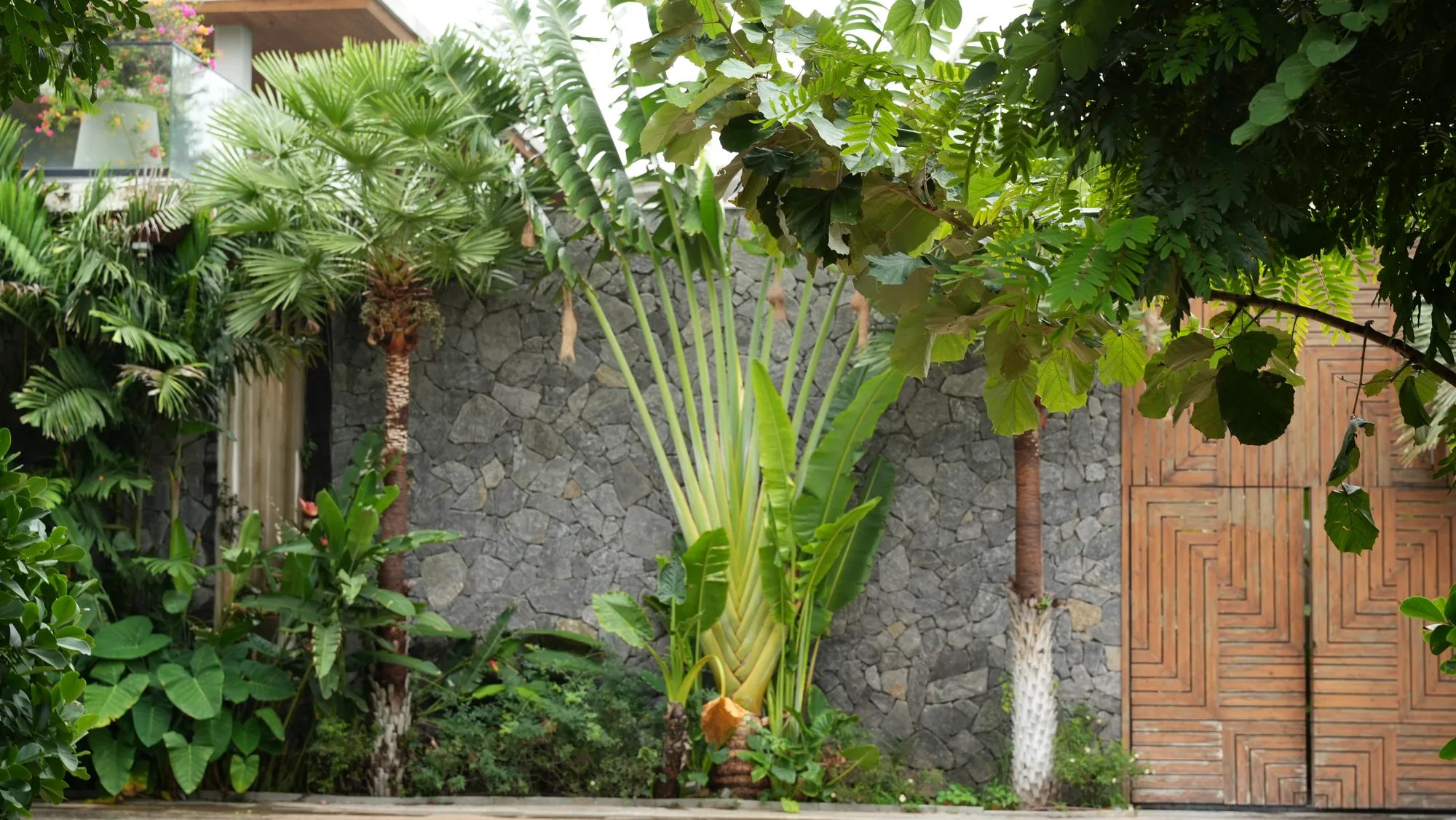 Entrance wall with palms and a timber gate at Woods Shamshabad, Hyderabad