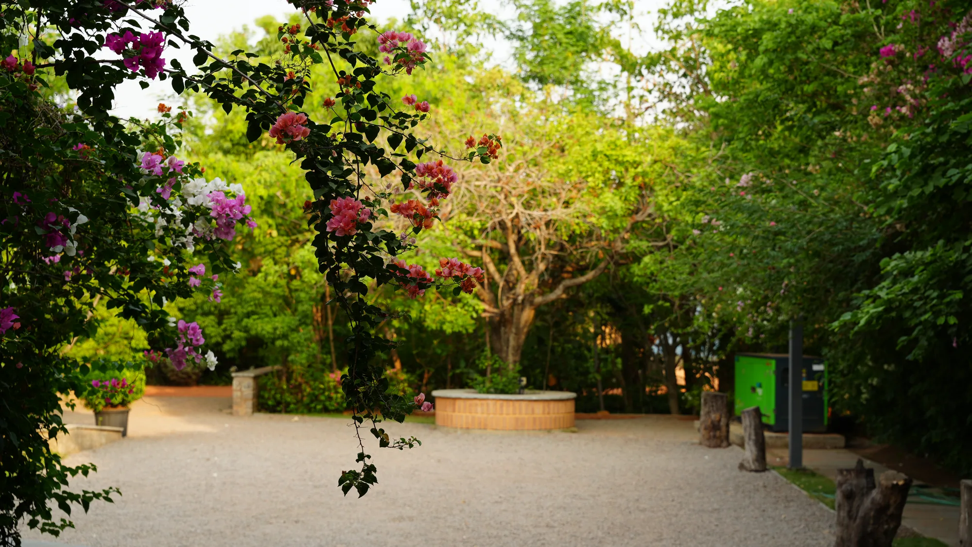 Gravel courtyard with flowering trees and benches at Woods Shamshabad, Hyderabad