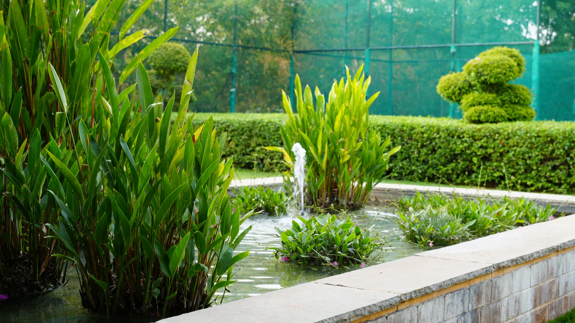 Lawn with stone steps and planting at Woods Shamshabad, Hyderabad