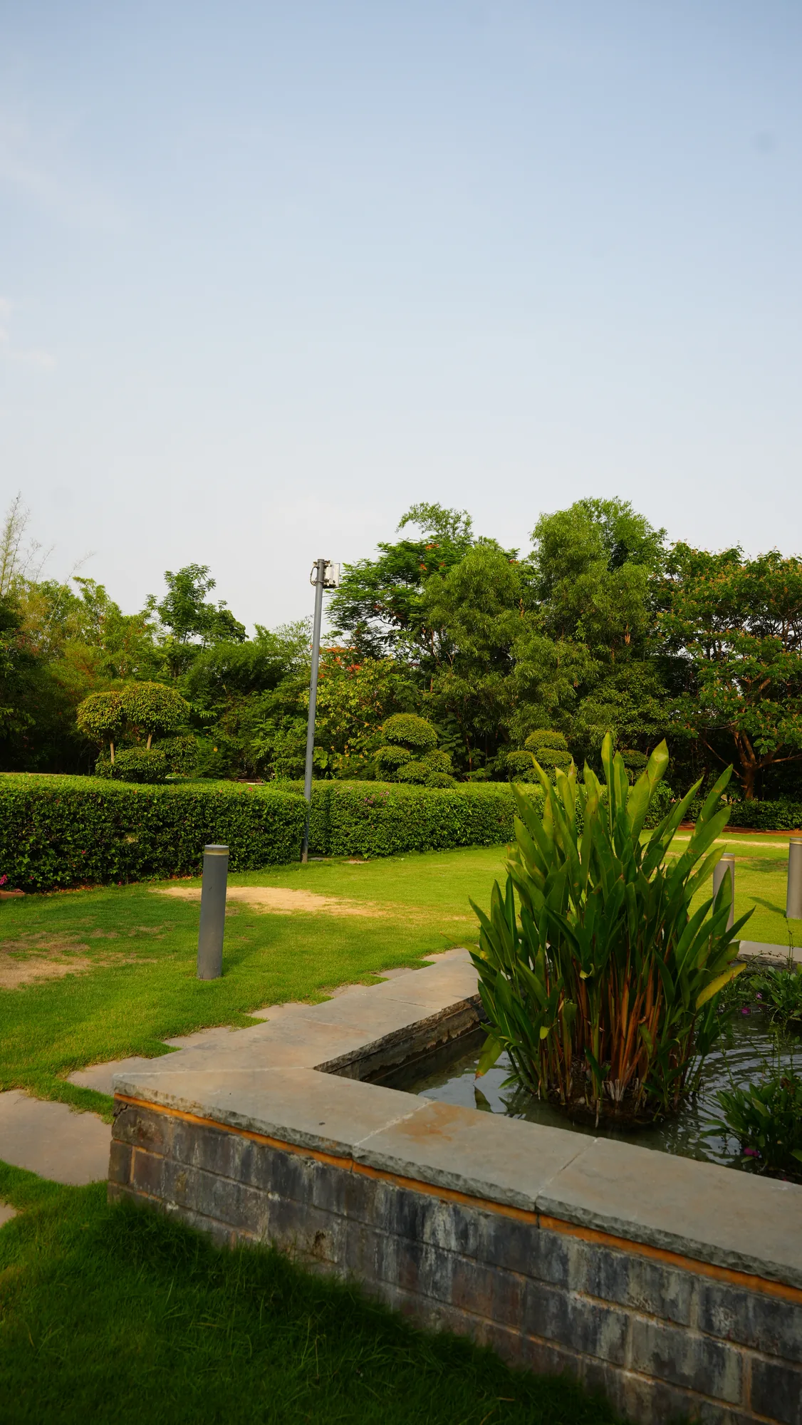 Stone-edged pond with planting at Woods Shamshabad, Hyderabad