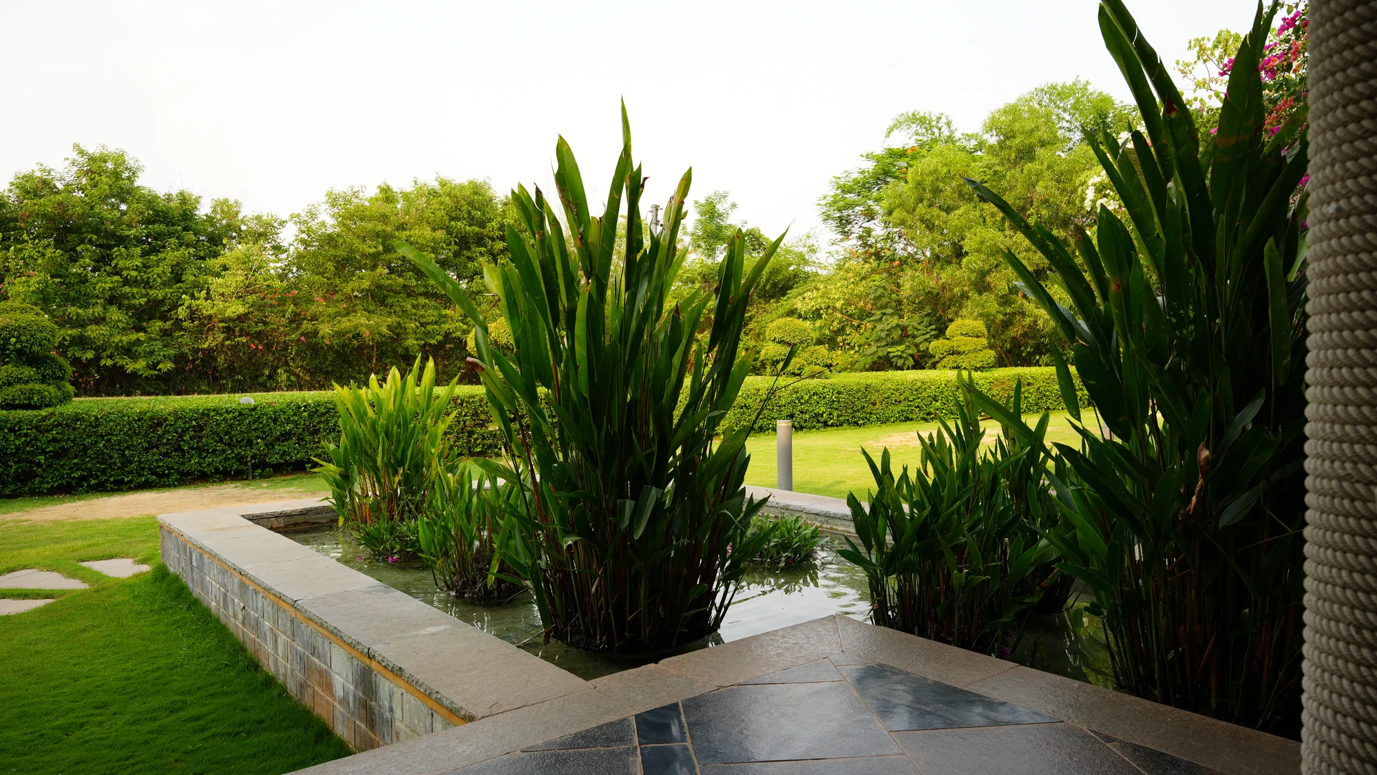 A sunken water garden with tall planting at Woods Shamshabad